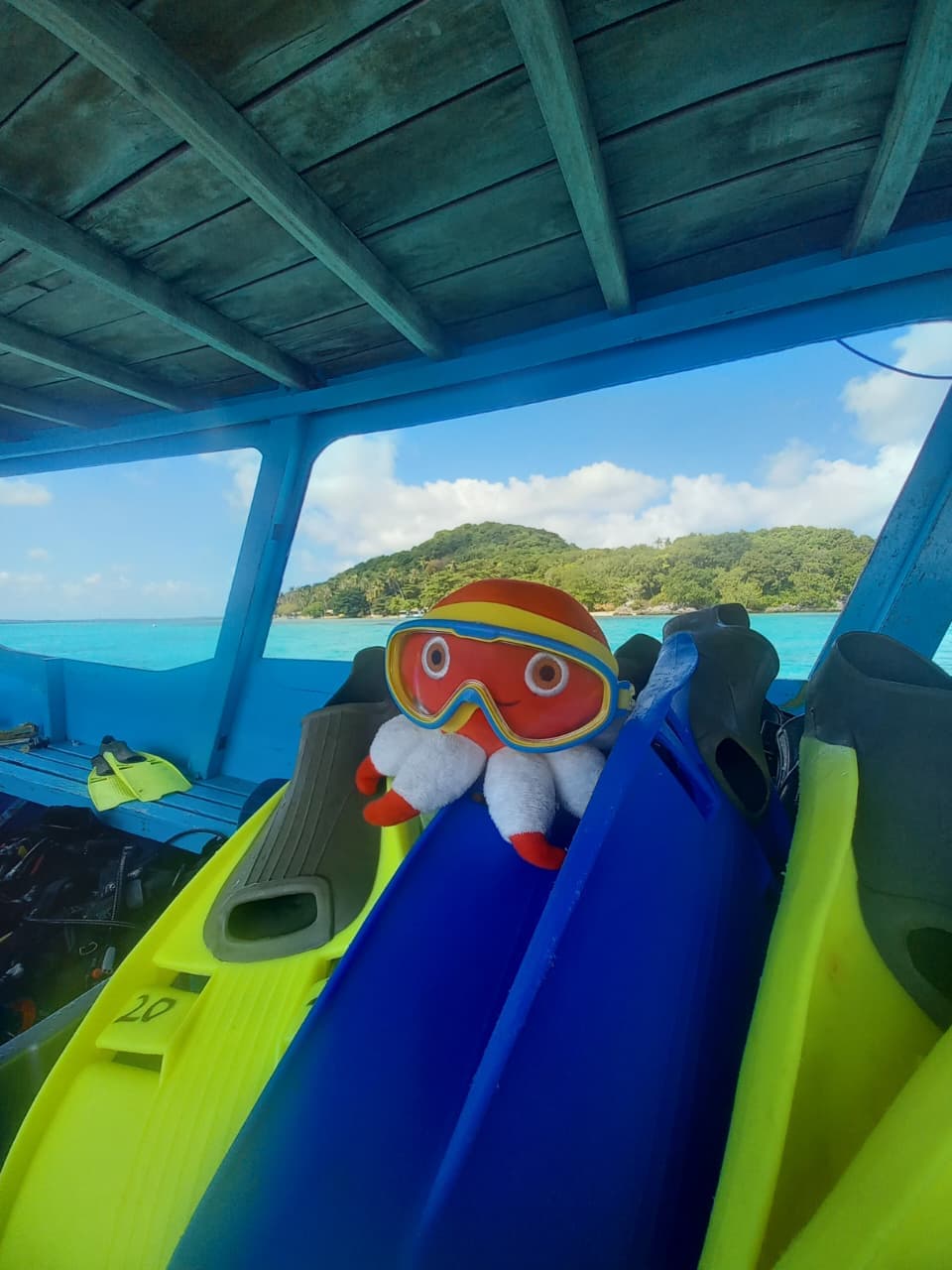 Open trip Karimunjawa
